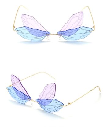 Dragonfly Wings Glasses1